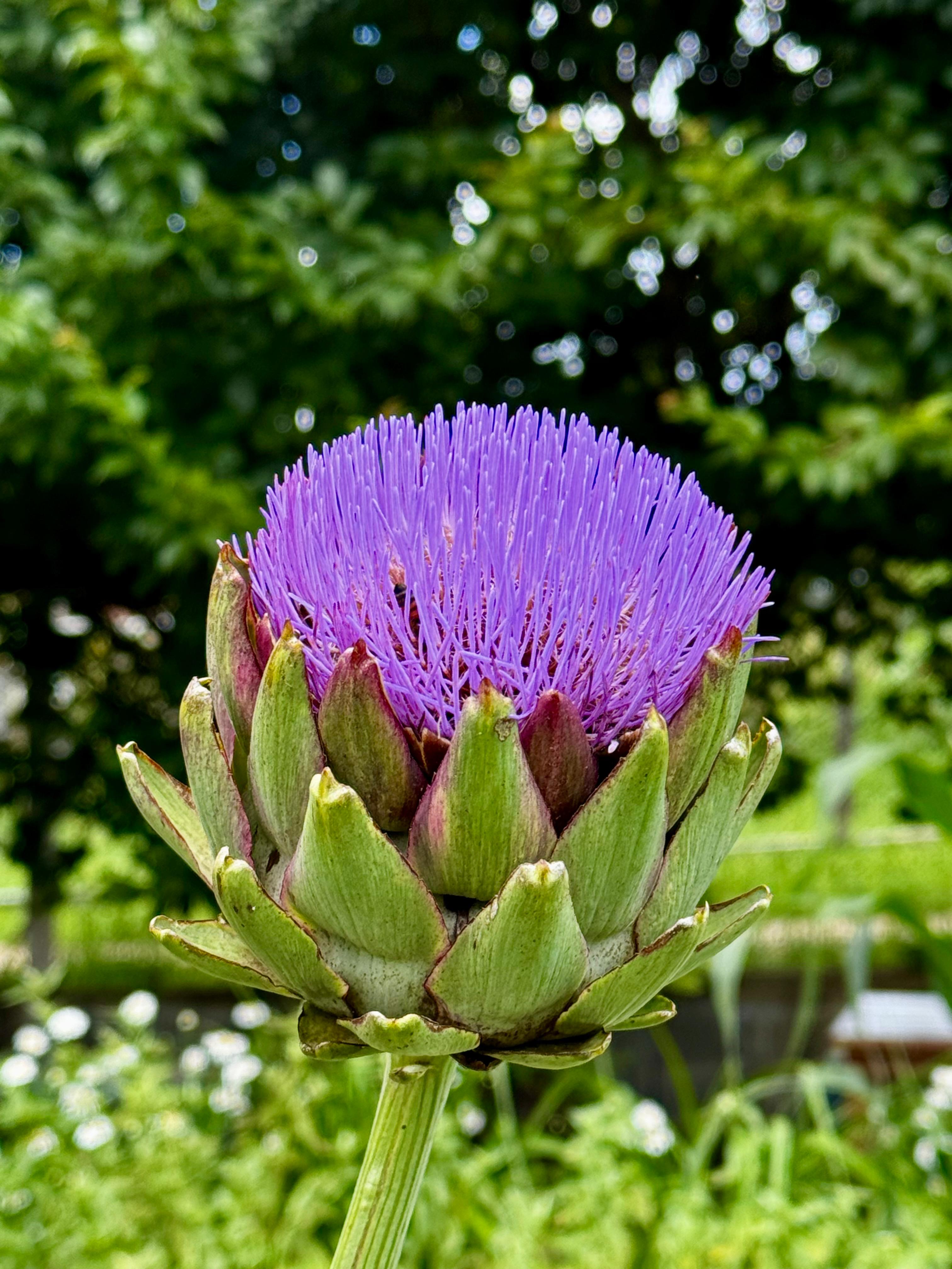 Arranjo floral criado na experiência Bioma Tropical