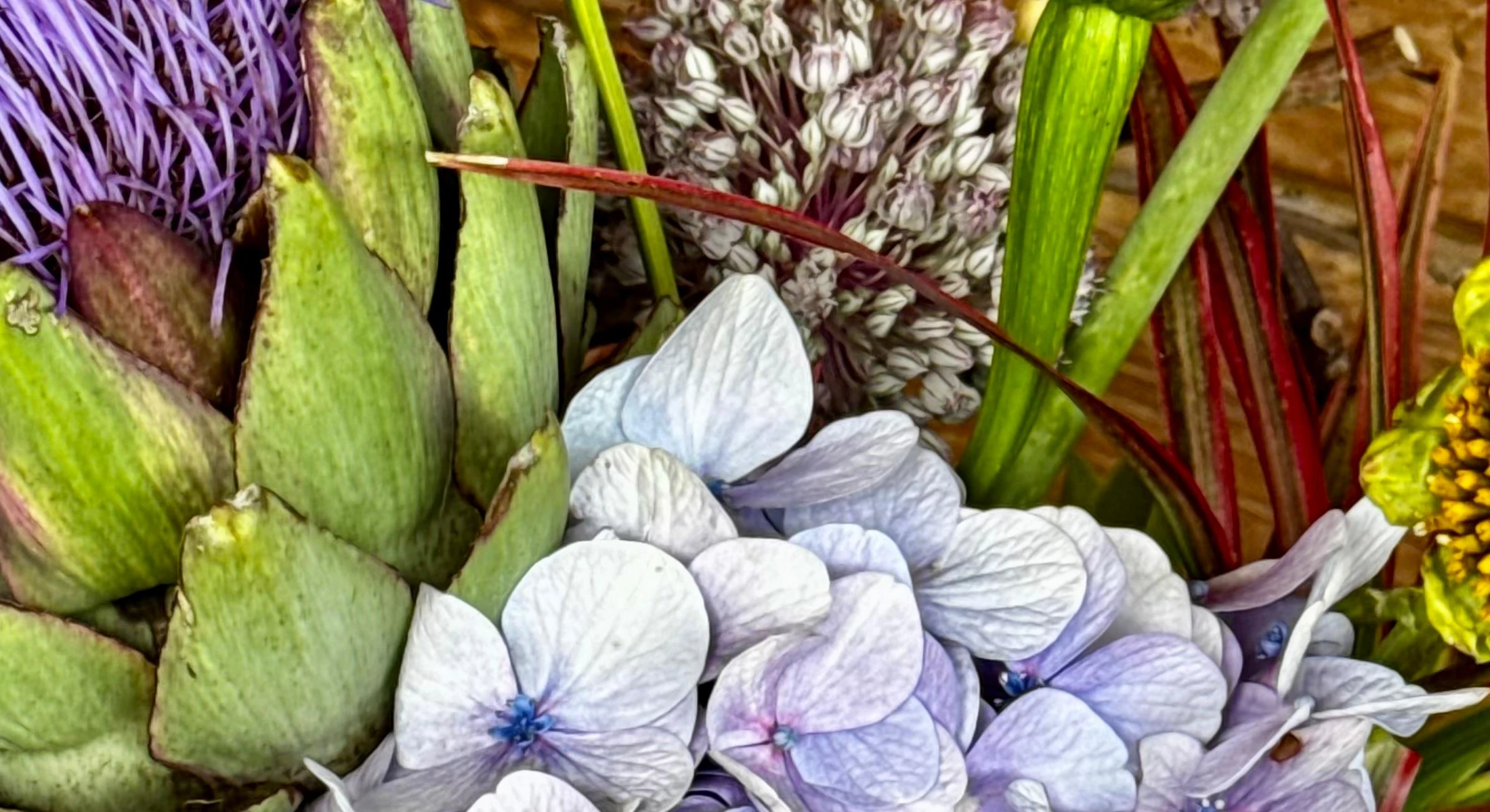 Experiência Floral em Curitiba